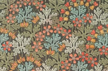 Photo ornamental flower