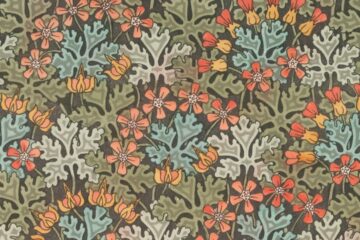 Photo ornamental flower